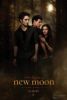 Twilight 2, le bien foutu…