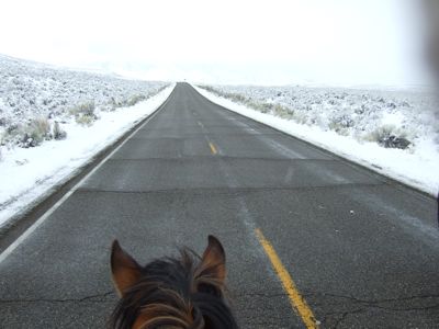 horse-road