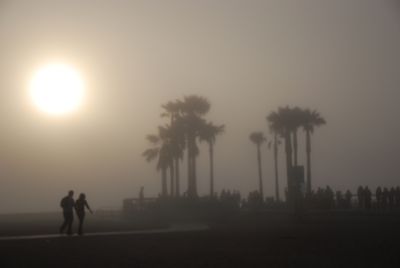 Venice-brouillard